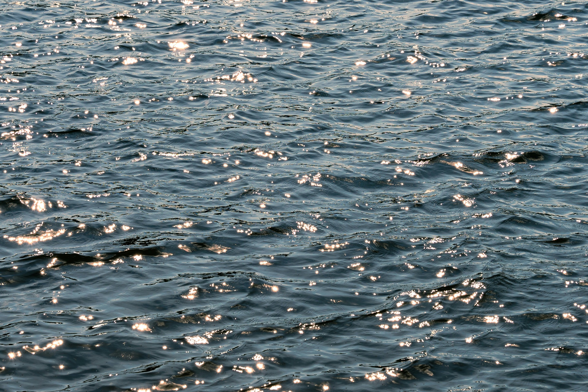 
      Dégâts des eaux : comment réagir et être indemnisé ?
    