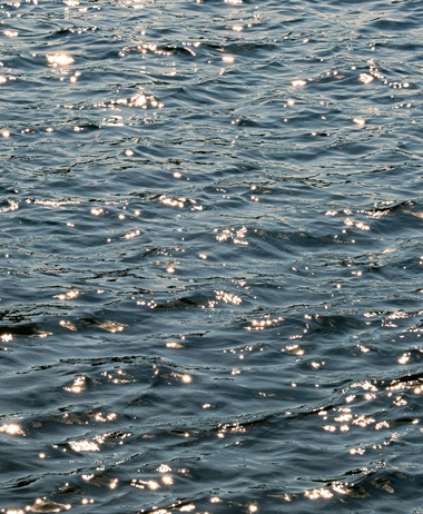 
      Dégâts des eaux : comment réagir et être indemnisé ?
    